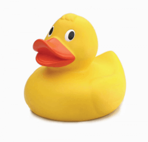 yellow duck removals