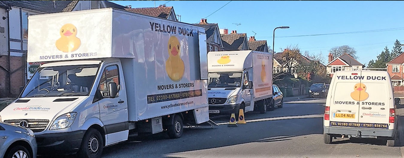 Yellow Duck Removals